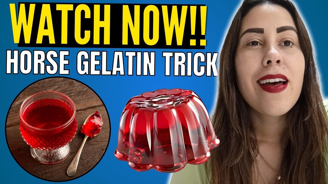 glp-1 and gip gelatin recipe How To Get Started With Horse Gelatin For Men Recipe
